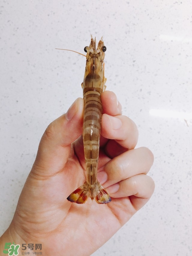 基圍蝦蝦線(xiàn)怎么去除 基圍蝦去蝦線(xiàn)圖解 基圍蝦蝦線(xiàn)怎么去除 基圍蝦去蝦線(xiàn)圖解