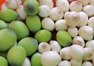 新鮮蓮蓬孕婦能吃嗎？孕婦可以吃新鮮蓮蓬嗎？