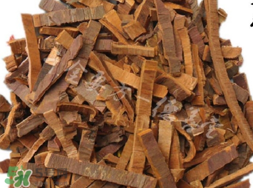 紅豆杉樹皮多少錢一斤？2017紅豆杉市場價