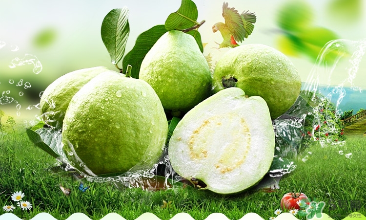 寶寶可以吃番石榴嗎？番石榴怎么吃