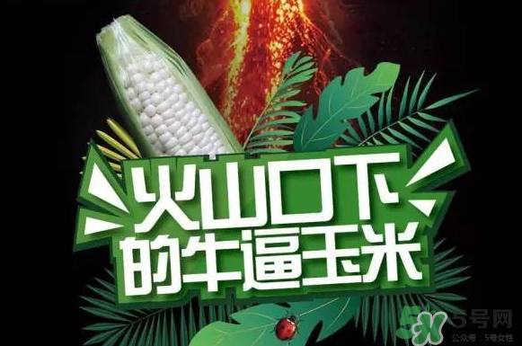 微玉冰糖玉米小孩可以吃嗎？微玉冰糖玉米營(yíng)養(yǎng)豐富嗎？