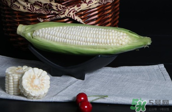 微玉冰糖玉米小孩可以吃嗎？微玉冰糖玉米營(yíng)養(yǎng)豐富嗎？