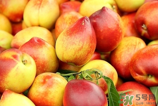 玉米和桃子能一起吃？桃子可以和玉米一起吃嗎？