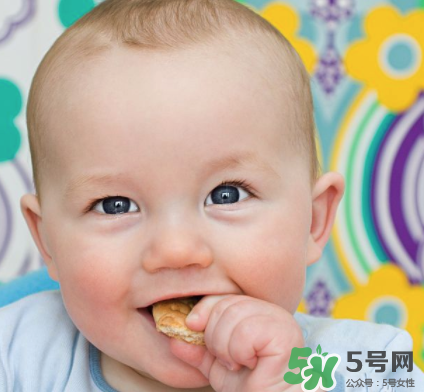 磨牙餅干吃不完怎么辦？磨牙餅干吃到多大？