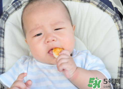 磨牙餅干吃不完怎么辦？磨牙餅干吃到多大？