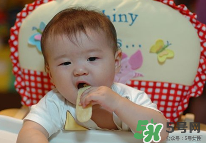 磨牙餅干吃不完怎么辦？磨牙餅干吃到多大？