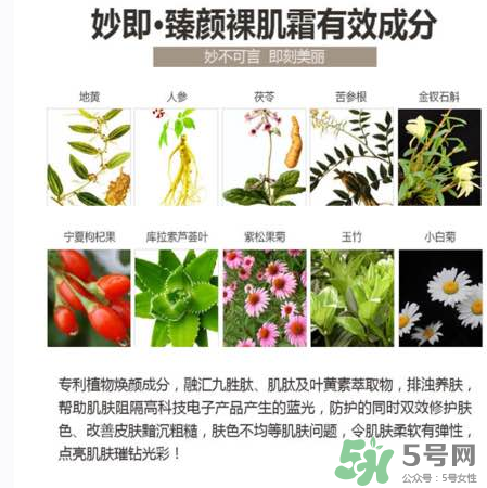 妙即素顏霜怎么樣？妙即素顏霜多少錢一盒？