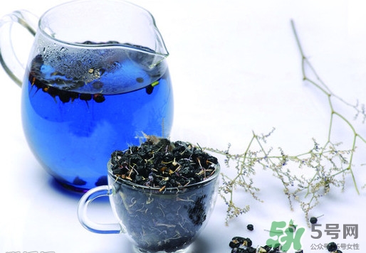 黑枸杞哪里有賣？黑枸杞哪里可以買到