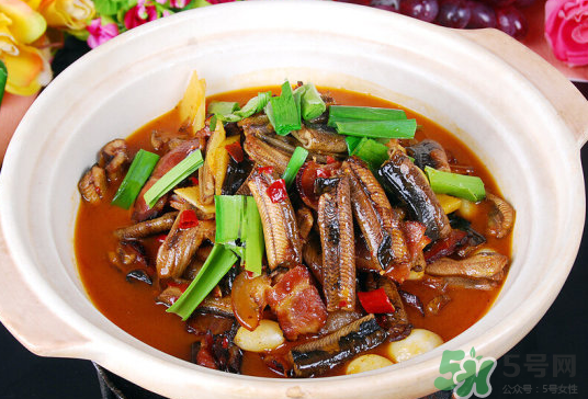 小暑為什么吃黃鱔？小暑吃黃鱔有什么好處？