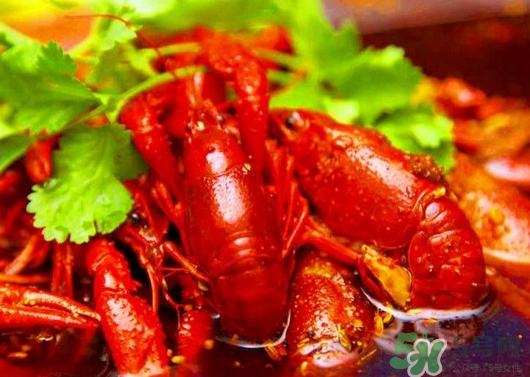 為什么人們都喜歡吃麻辣小龍蝦？小龍蝦為什么這么受歡迎？