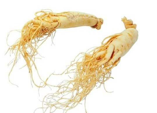 黑枸杞能和西洋參一起泡水喝嗎？黑枸杞和西洋參泡水喝的功效