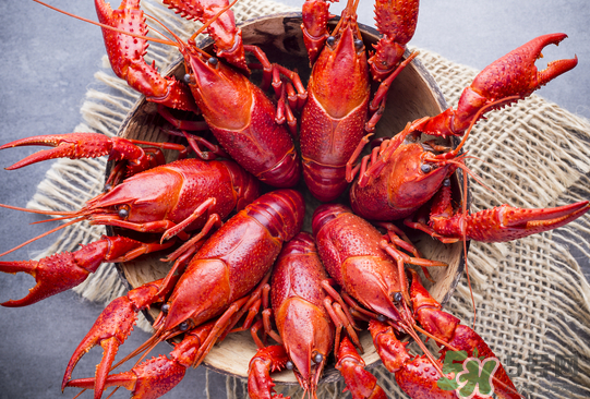 啤酒麻辣小龍蝦怎么做？麻辣小龍蝦為什么放啤酒？