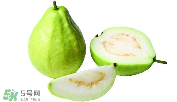 番石榴怎么選好吃？番石榴怎么判斷熟了？