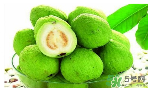 番石榴皮可以吃嗎？番石榴皮的功效與作用