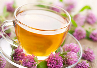 番石榴葉子能治糖尿病嗎？番石榴葉降血糖嗎？