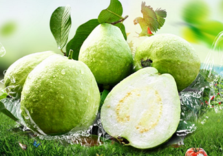 寶寶可以吃番石榴嗎？番石榴怎么吃