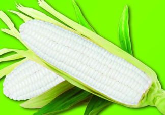 白玉米煮后變黃能吃嗎？白玉米為什么變黃了？