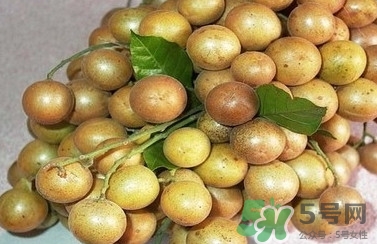 山黃皮怎么做好吃？山黃皮有什么藥用價值