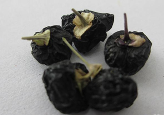 黑枸杞可以和菊花一起喝嗎？菊花和黑枸杞一起喝好嗎