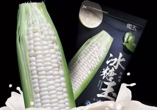 微玉冰糖玉米可以生吃嗎？微玉冰糖玉米安全嗎？