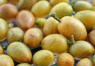 如何腌制黃皮干？如何曬黃皮干