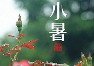 小暑種什么菜？小暑為什么要種牽?；?？