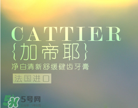 cattier加帝耶是什么牌子？法國cattier什么檔次？