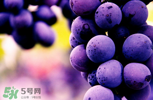 夏黑葡萄多少錢一斤？夏黑葡萄怎么挑選？