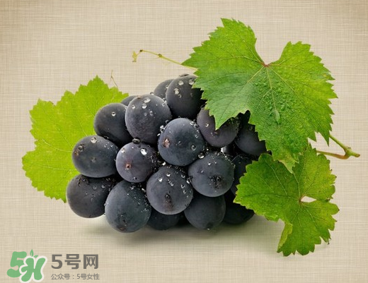 夏黑葡萄多少錢一斤？夏黑葡萄怎么挑選？