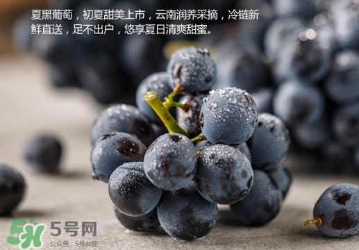 夏黑葡萄皮能吃嗎？夏黑葡萄怎么吃？