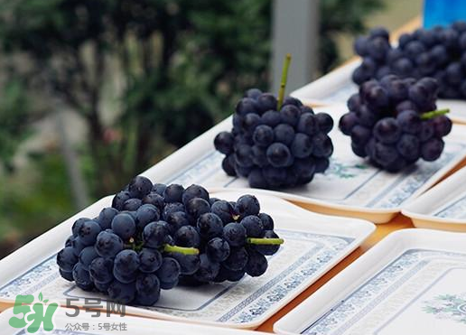 夏黑葡萄皮能吃嗎？夏黑葡萄怎么吃？