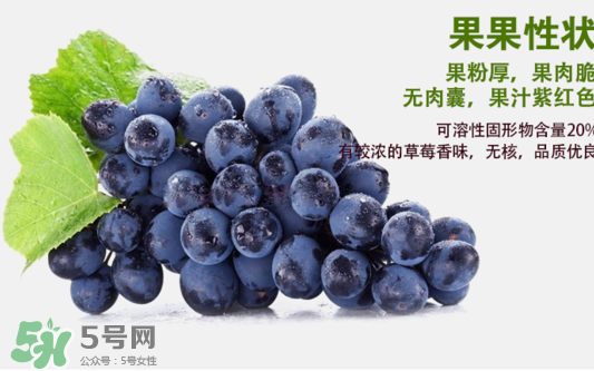 夏黑葡萄怎么洗？夏黑葡萄怎么洗才干凈？