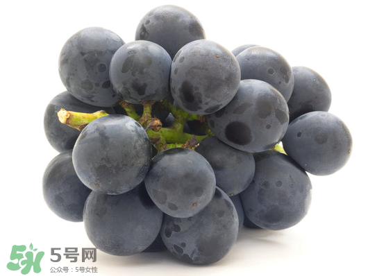 巨峰葡萄是哪里的？巨峰葡萄產(chǎn)地