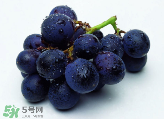 巨峰葡萄和葡萄有什么區(qū)別？巨峰葡萄是轉(zhuǎn)基因的嗎？