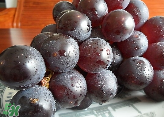 巨峰葡萄和葡萄有什么區(qū)別？巨峰葡萄是轉(zhuǎn)基因的嗎？