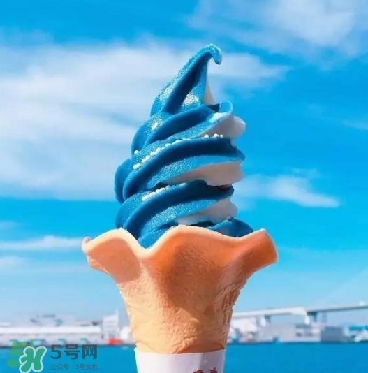 鯨鯊冰淇淋好吃嗎？鯨鯊冰淇淋多少錢？