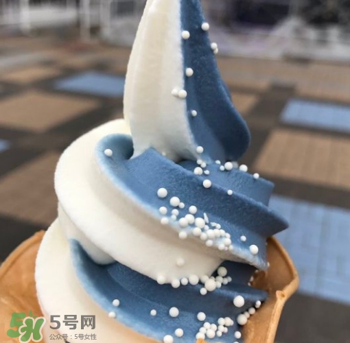 鯨鯊冰淇淋好吃嗎？鯨鯊冰淇淋多少錢？