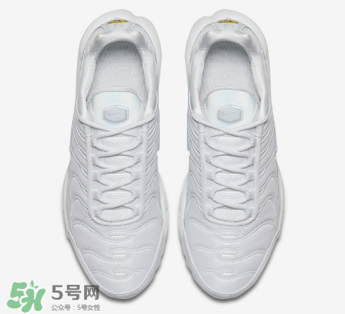 nike air max plus ice blue多少錢？耐克氣墊plus冰藍(lán)配色價(jià)格