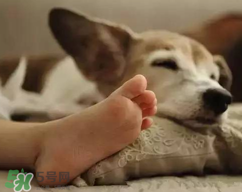 七月份可以開(kāi)窗睡覺(jué)嗎？夏天可以開(kāi)窗睡覺(jué)嗎？