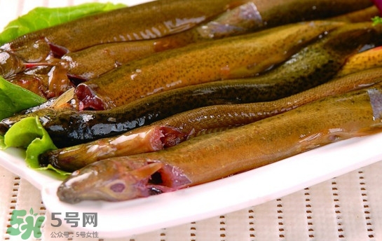 鰻魚(yú)是泥鰍嗎？鰻魚(yú)與泥鰍什么區(qū)別
