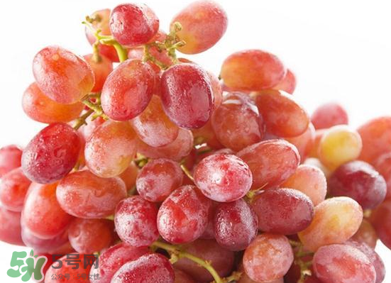 ?無(wú)籽紅提?孕婦能吃嗎吃嗎？孕婦能不能吃無(wú)籽紅提？