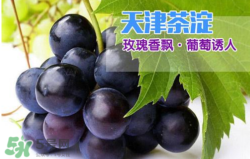 玫瑰香葡萄多少錢一斤？玫瑰香葡萄多少錢一斤2017？