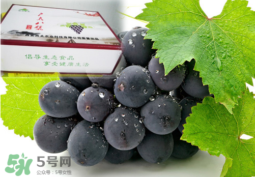 戶太八號(hào)葡萄什么時(shí)候套袋？戶太八號(hào)葡萄什么月份套袋？