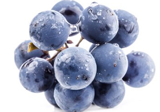 夏黑葡萄幾月成熟？夏黑葡萄幾月份上市？