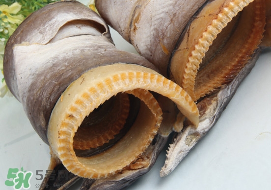 鰻魚干怎么保存最好？鰻魚干如何保存時間久
