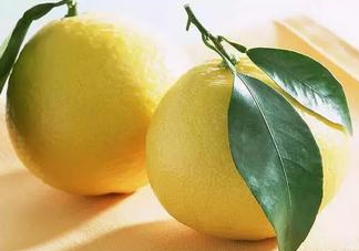 七月份有柚子嗎？柚子七月份超市有賣的嗎？