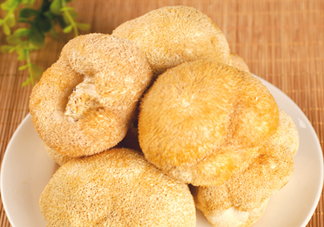 猴頭菇怎樣吃治胃?。亢镱^菇能治胃病嗎？