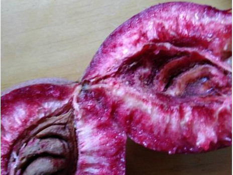 黑桃水果什么時候吃最好？黑桃水果什么時候成熟