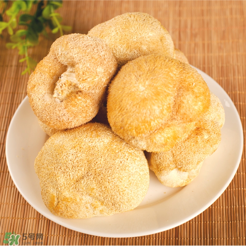 猴頭菇怎樣吃治胃?。亢镱^菇能治胃病嗎？