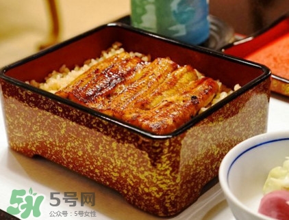 鰻魚飯熱量高嗎？鰻魚飯的熱量有多高